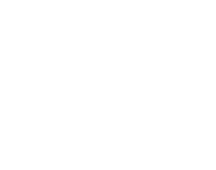 Gaodelty Interactive